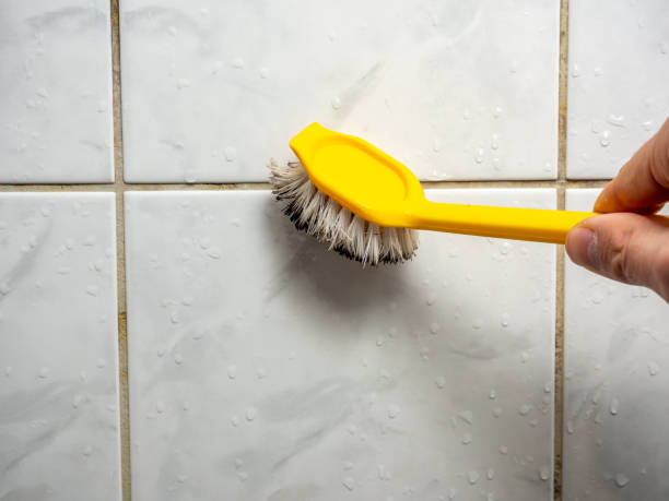 Best DIY Mold Remediation Support Services in Auburn, GA