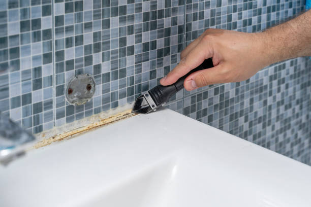 Best Bathroom Mold Remediation in Auburn, GA